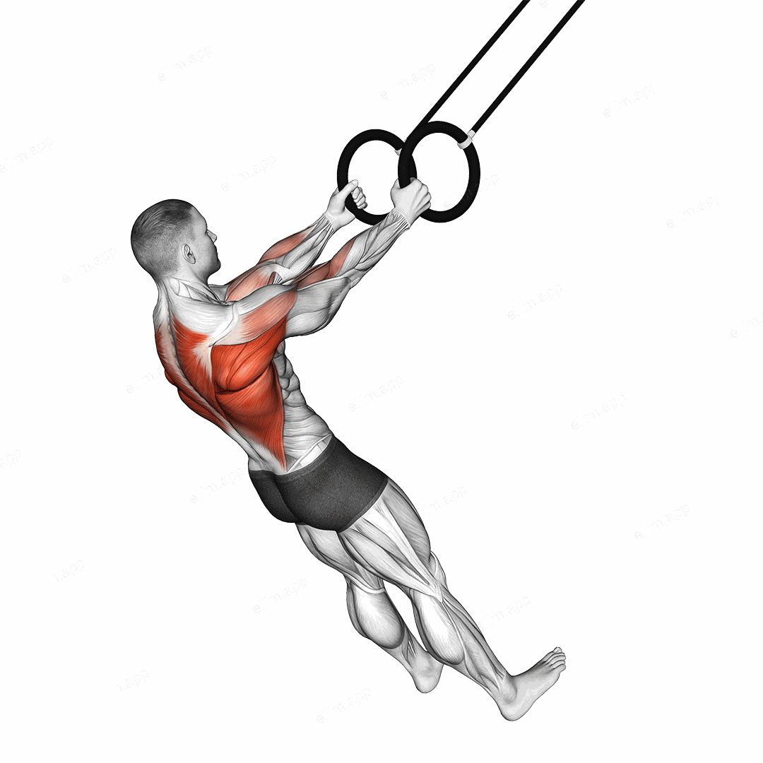 Ring High Row exercise targeting Back and Infraspinatus