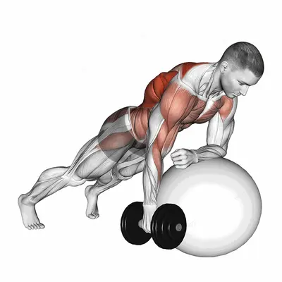 Dumbbell Renegade Row on Stability Ball exercise targeting Waist