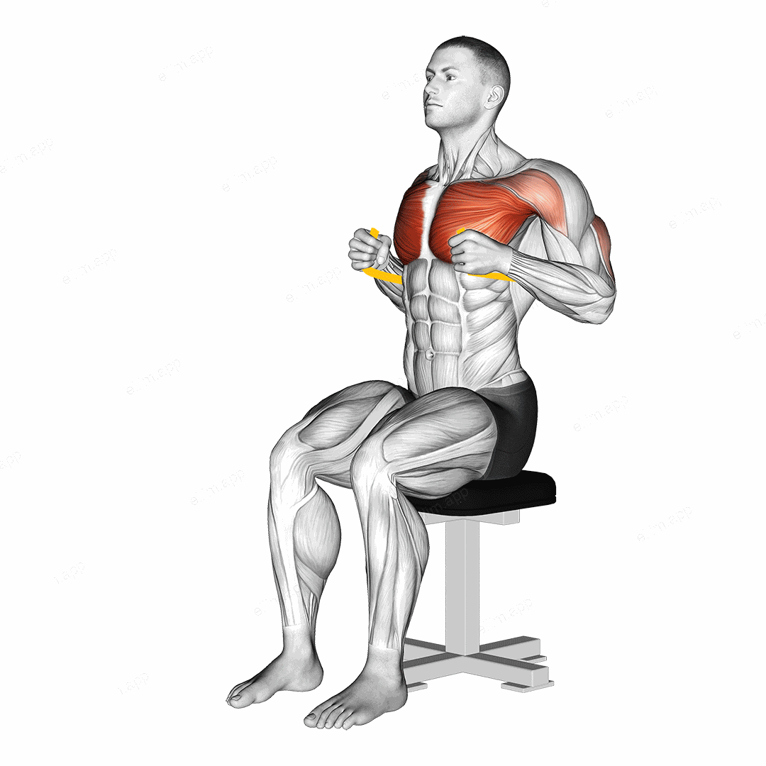 Resistance Band Seated Chest Press exercise targeting Chest