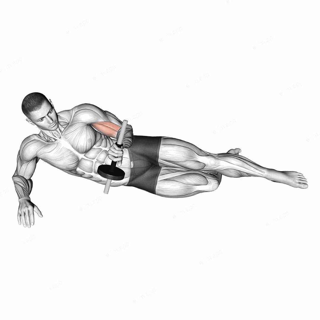 Dumbbell Lying Supination on Floor exercise targeting Forearms