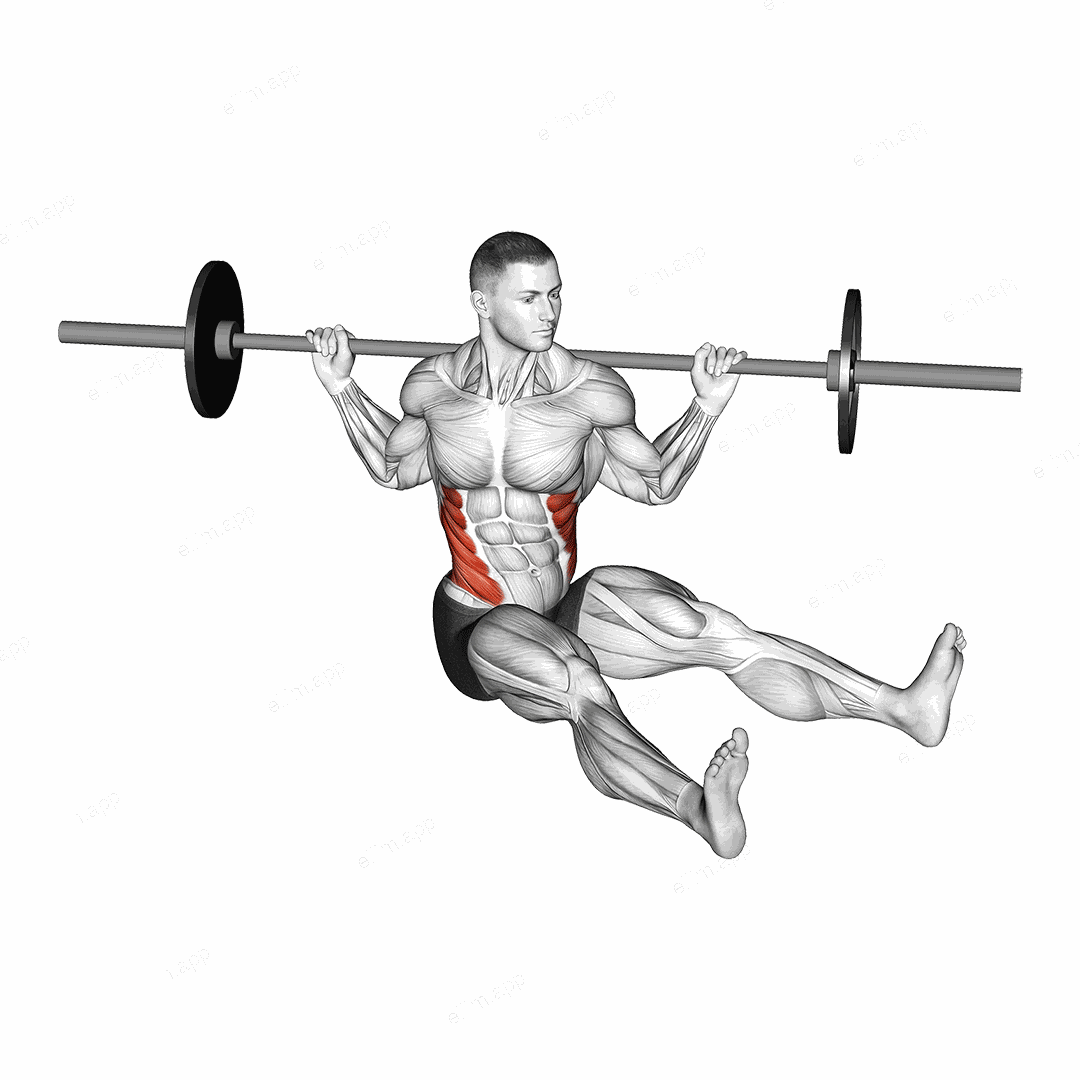 Barbell Sitting on Floor Oblique Twist exercise targeting Waist