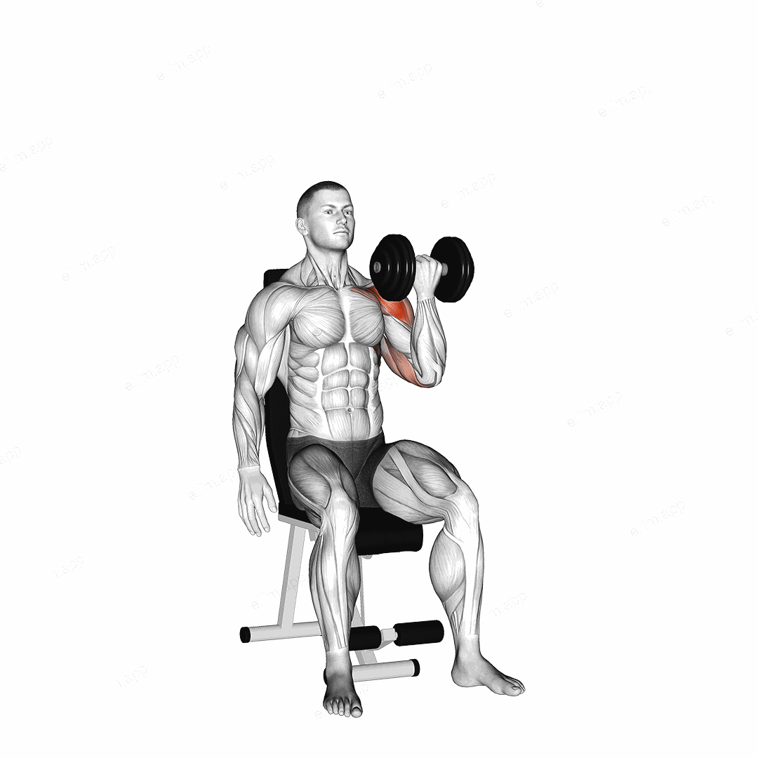 Dumbbell Seated One Arm Arnold Press exercise targeting Shoulders