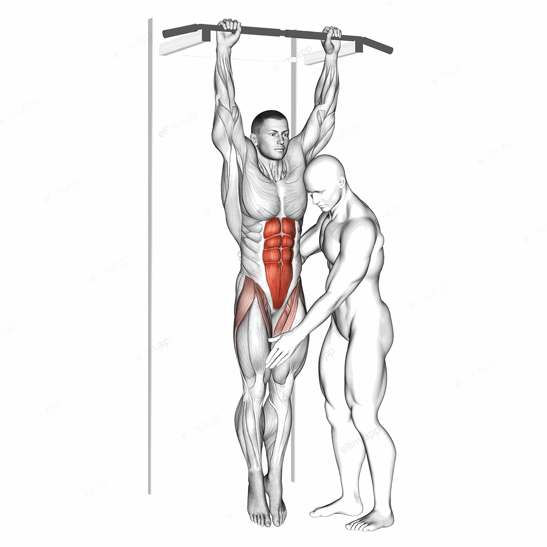 Assisted Hanging Knee Raise exercise targeting Waist and Rectus Abdominis