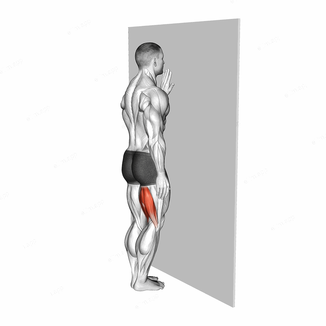 Standing Single Leg Curl exercise targeting Thighs and Hamstrings