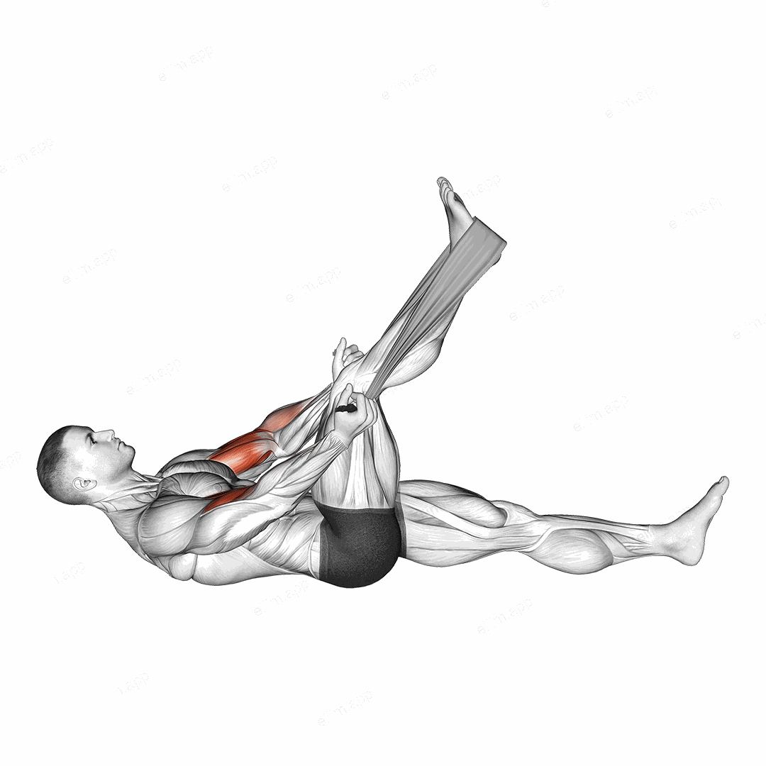 Lying Biceps Curl with Towel exercise targeting Upper Arms and Biceps Brachii