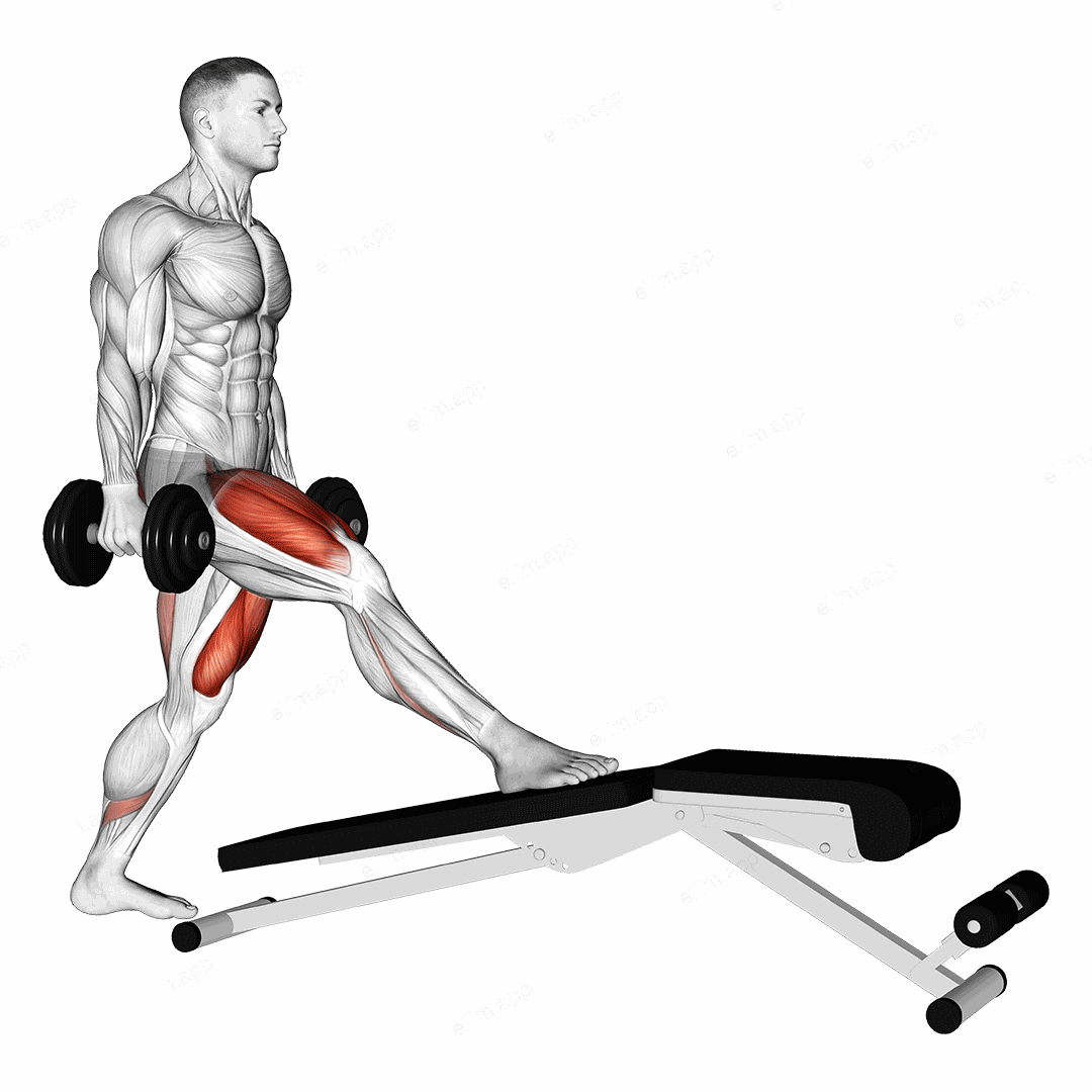 Dumbbell Decline Bench Lunge exercise targeting Thighs