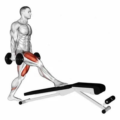 Dumbbell Decline Bench Lunge exercise targeting Thighs