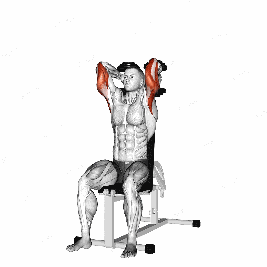 Dumbbells Seated Triceps Extension exercise targeting Upper Arms and Triceps Brachii