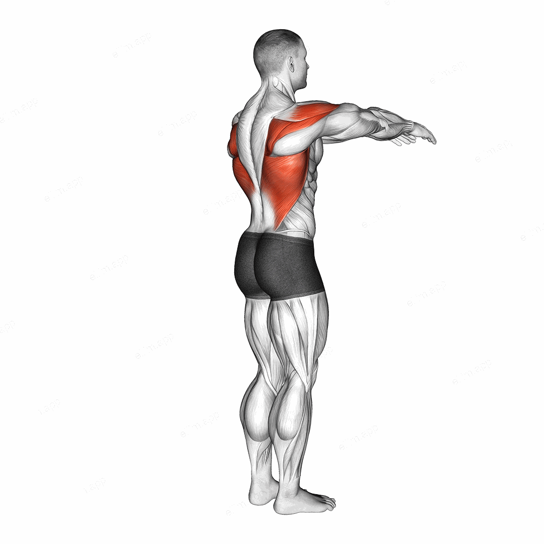 Shoulder - Transverse Extension exercise targeting Shoulders