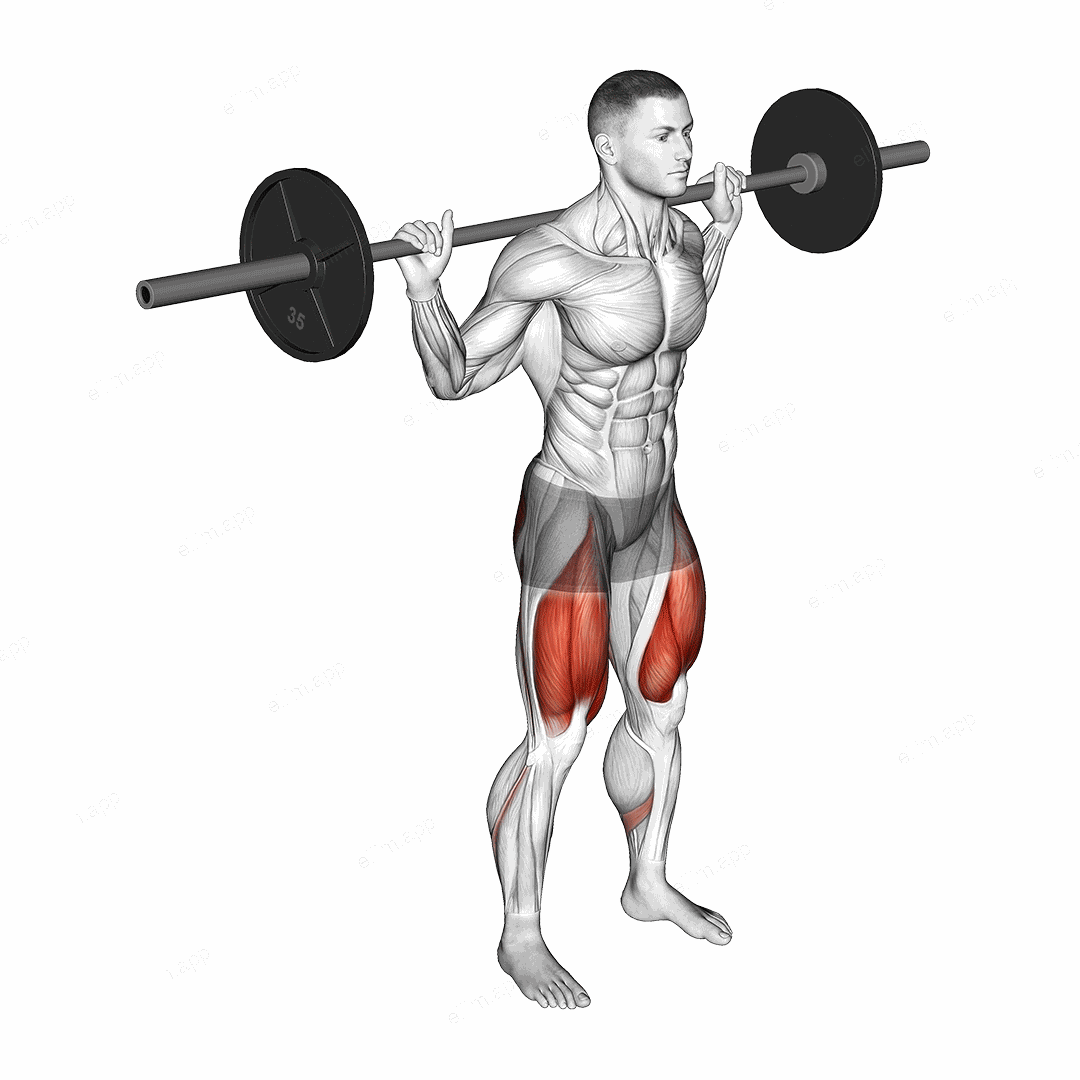 Barbell Squat 2 sec Hold exercise targeting Thighs and Gluteus Maximus
