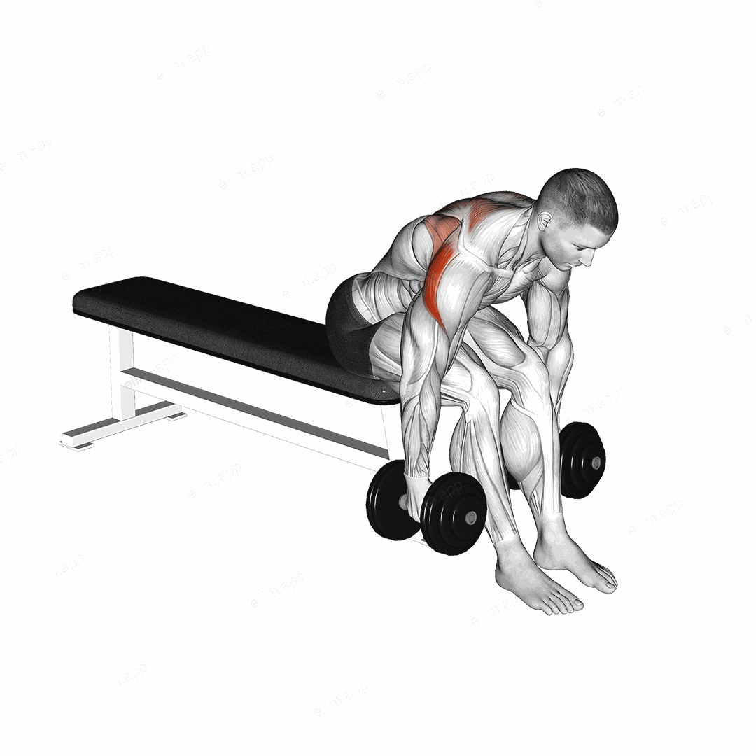 Dumbbell Rear Fly exercise targeting Shoulders and Deltoid Posterior