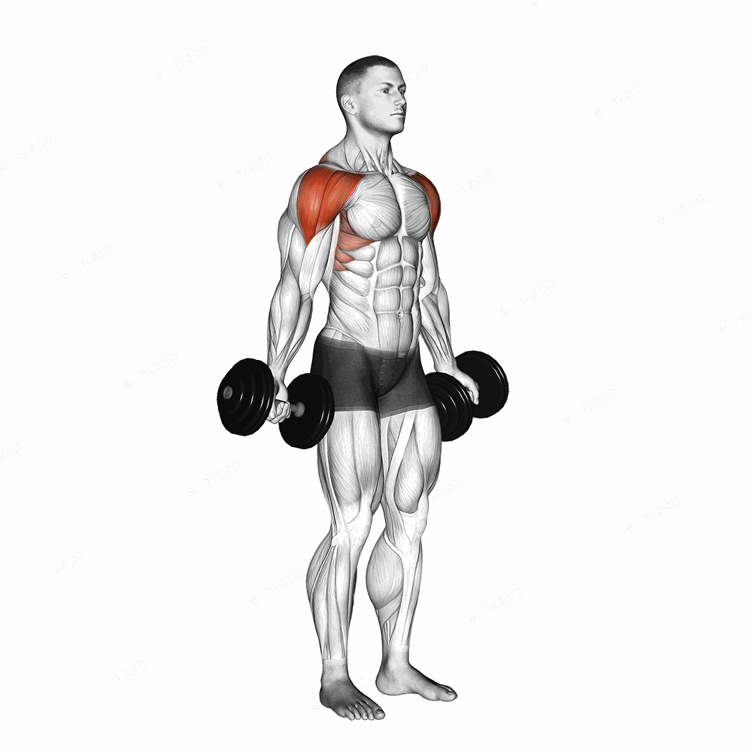 Dumbbell Full Can Lateral Raise exercise targeting Shoulders and Deltoid Anterior