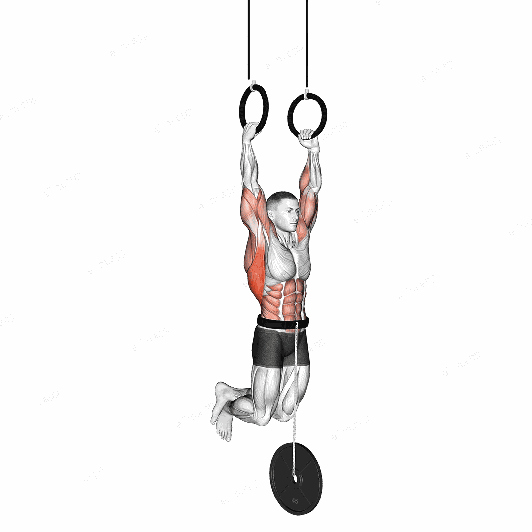 Weighted Muscle-up exercise targeting Back