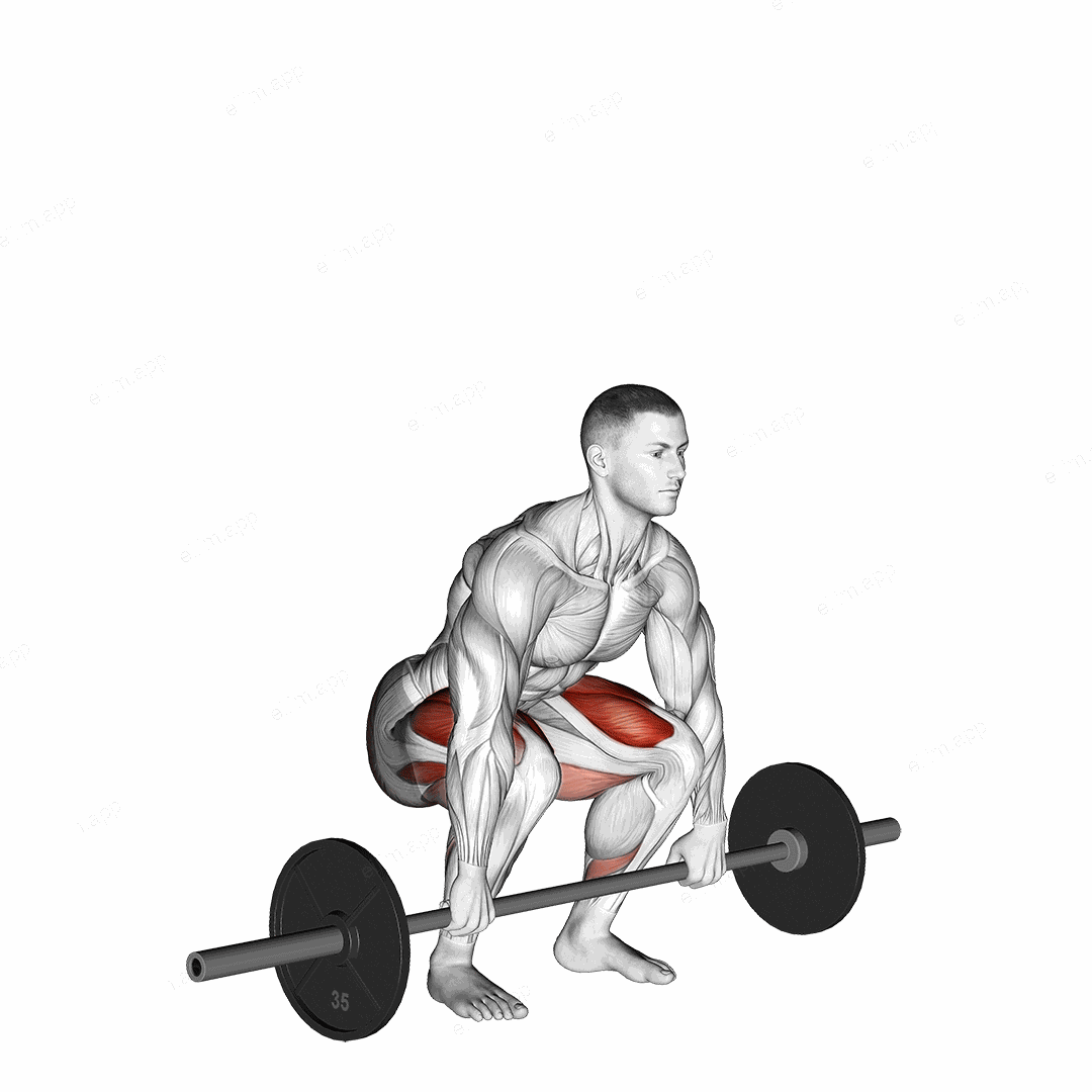 Barbell Clean Deadlift exercise targeting Thighs