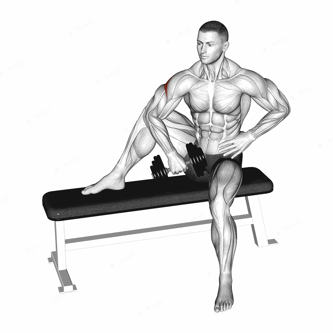 Dumbbell Seated External Shoulder Rotation exercise targeting Shoulders and Deltoid Posterior