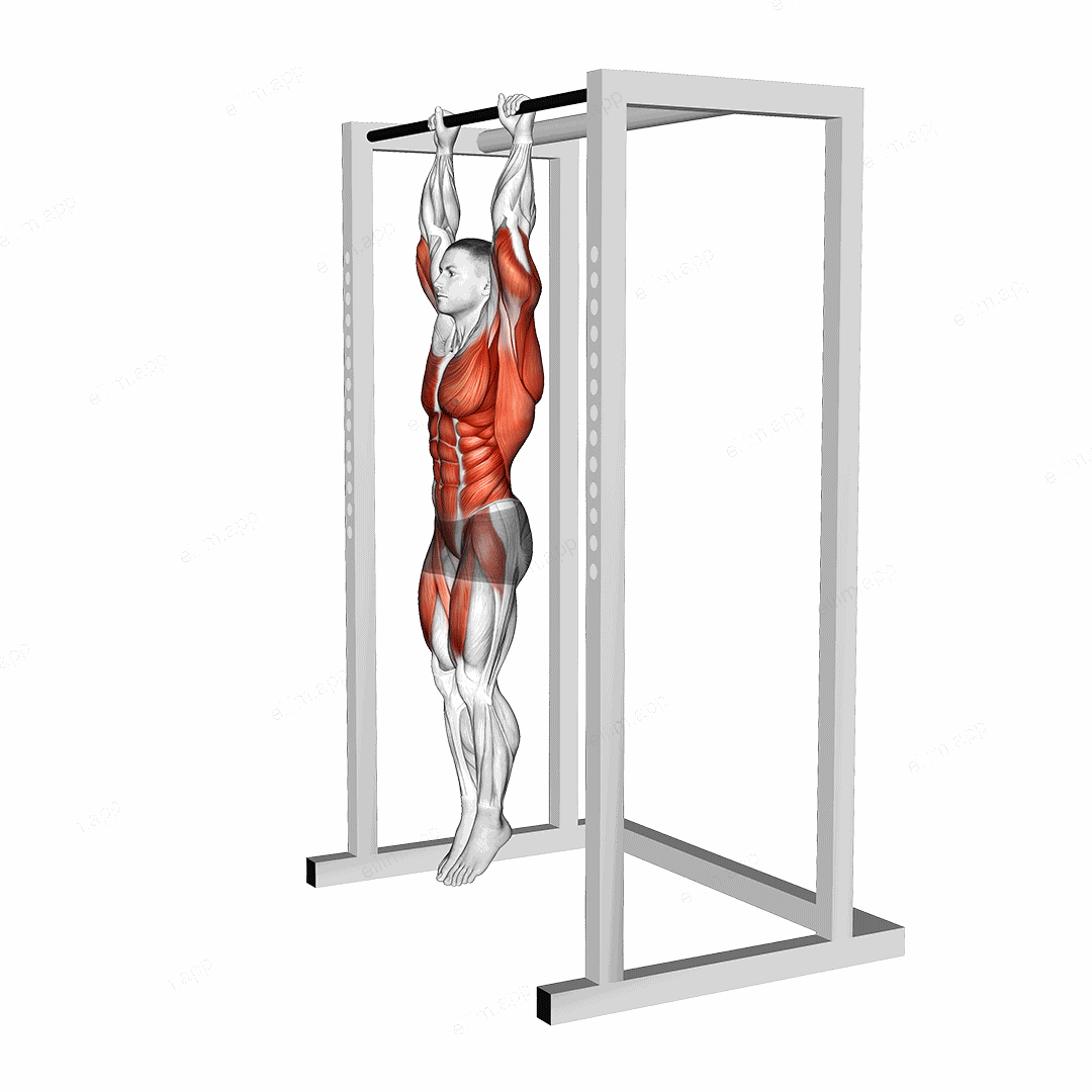 Hanging Tucked Front Lever Hold exercise targeting Waist