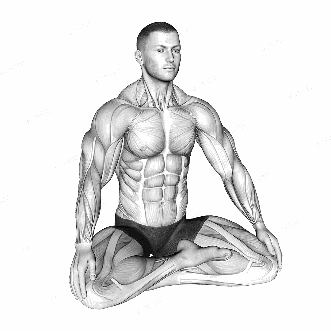 Lotus Pose Breathing exercise targeting Stretching
