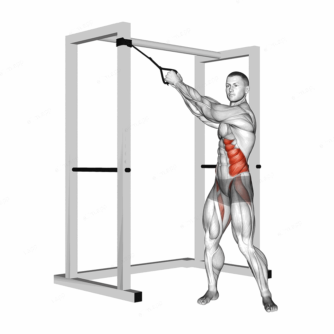 Band twist (up-down) exercise targeting Waist