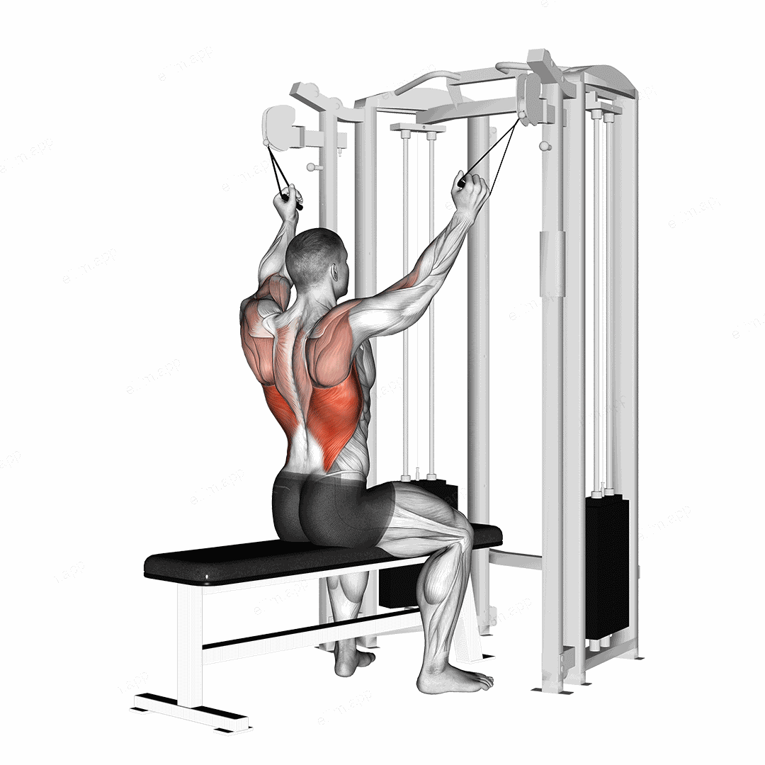 twin handle parallel grip lat pulldown exercise targeting Back