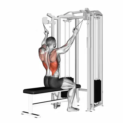 twin handle parallel grip lat pulldown exercise targeting Back