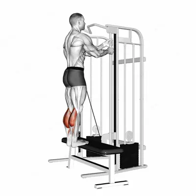 Cable Standing Calf Raise exercise targeting Calves and Gastrocnemius