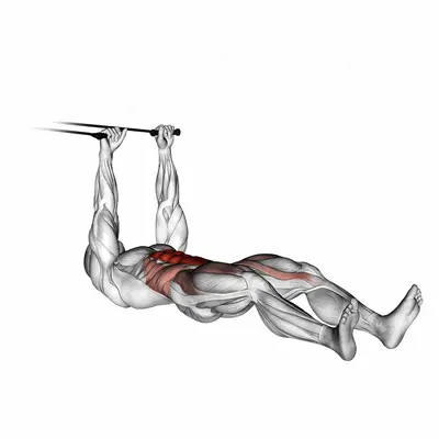 Band push sit up exercise targeting Waist