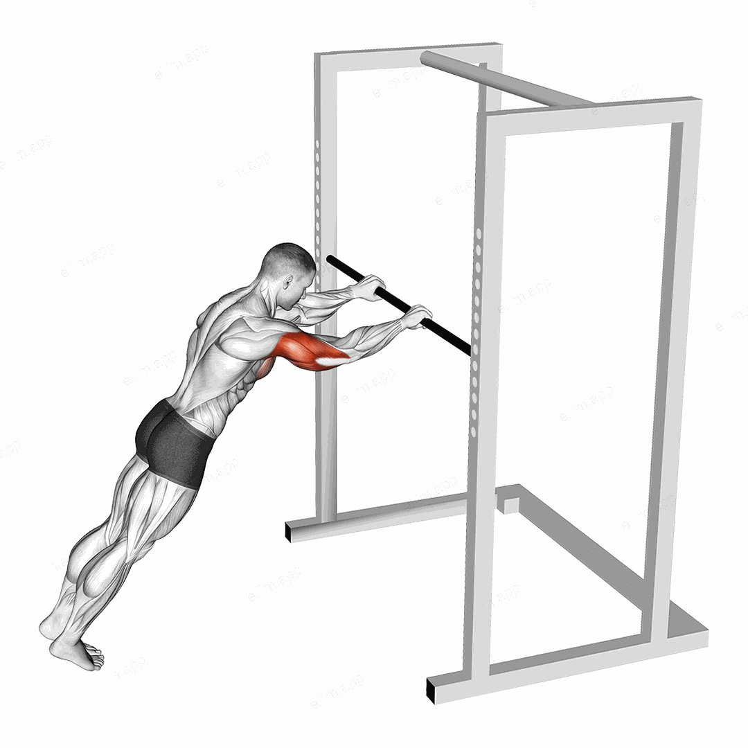 Triceps Press (high bar position) exercise targeting Upper Arms