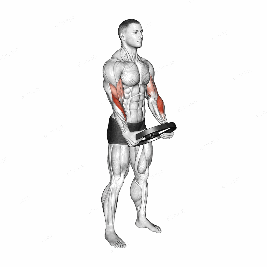 Weighted Plate Standing Biceps Curl exercise targeting Forearms