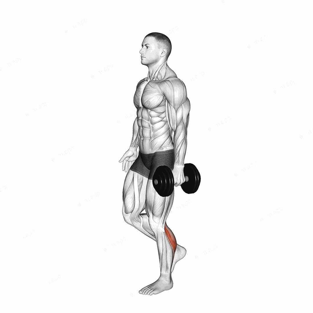 Dumbbell Single Leg Calf Raise exercise targeting Calves and Gastrocnemius