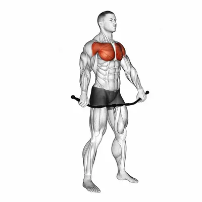 Chest and Front of Shoulder Stretch exercise targeting Chest and Deltoid Anterior