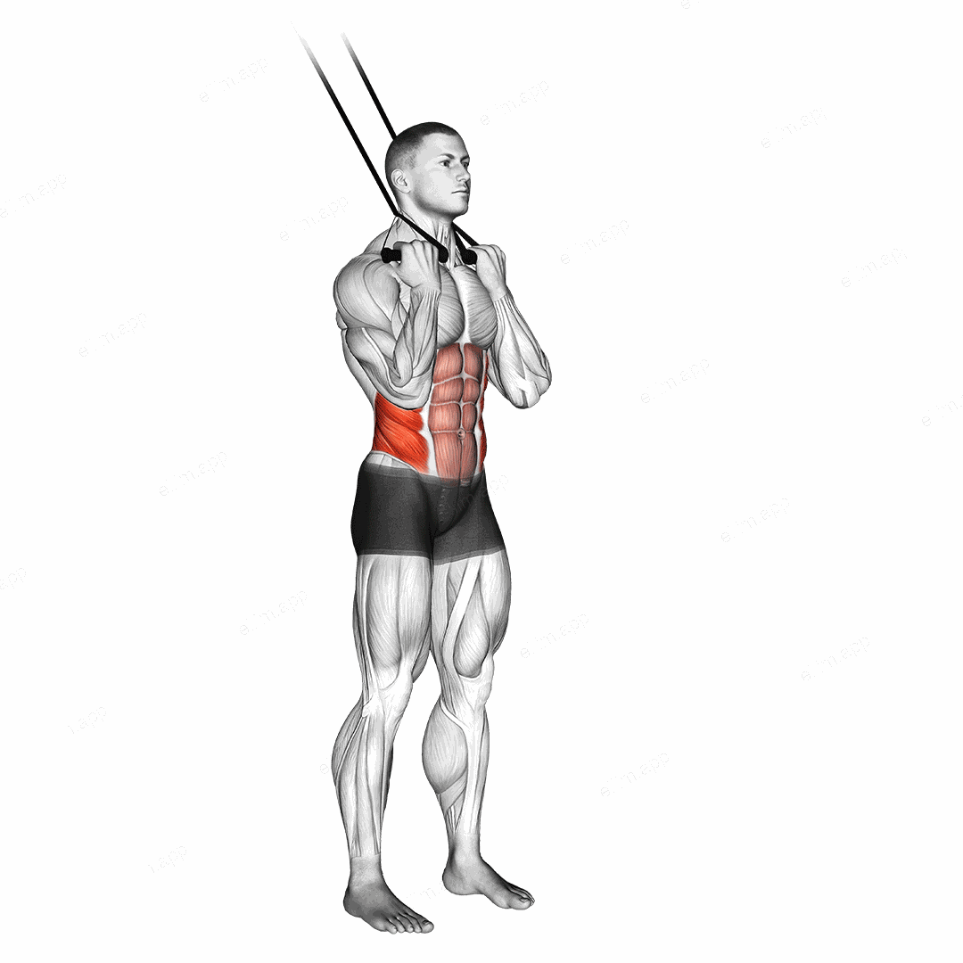 Band standing twisting crunch exercise targeting Waist and Obliques