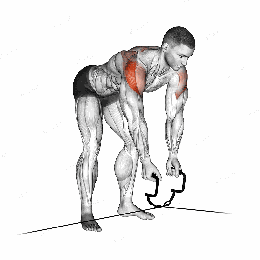 Cable Cross over Revers Fly exercise targeting Back