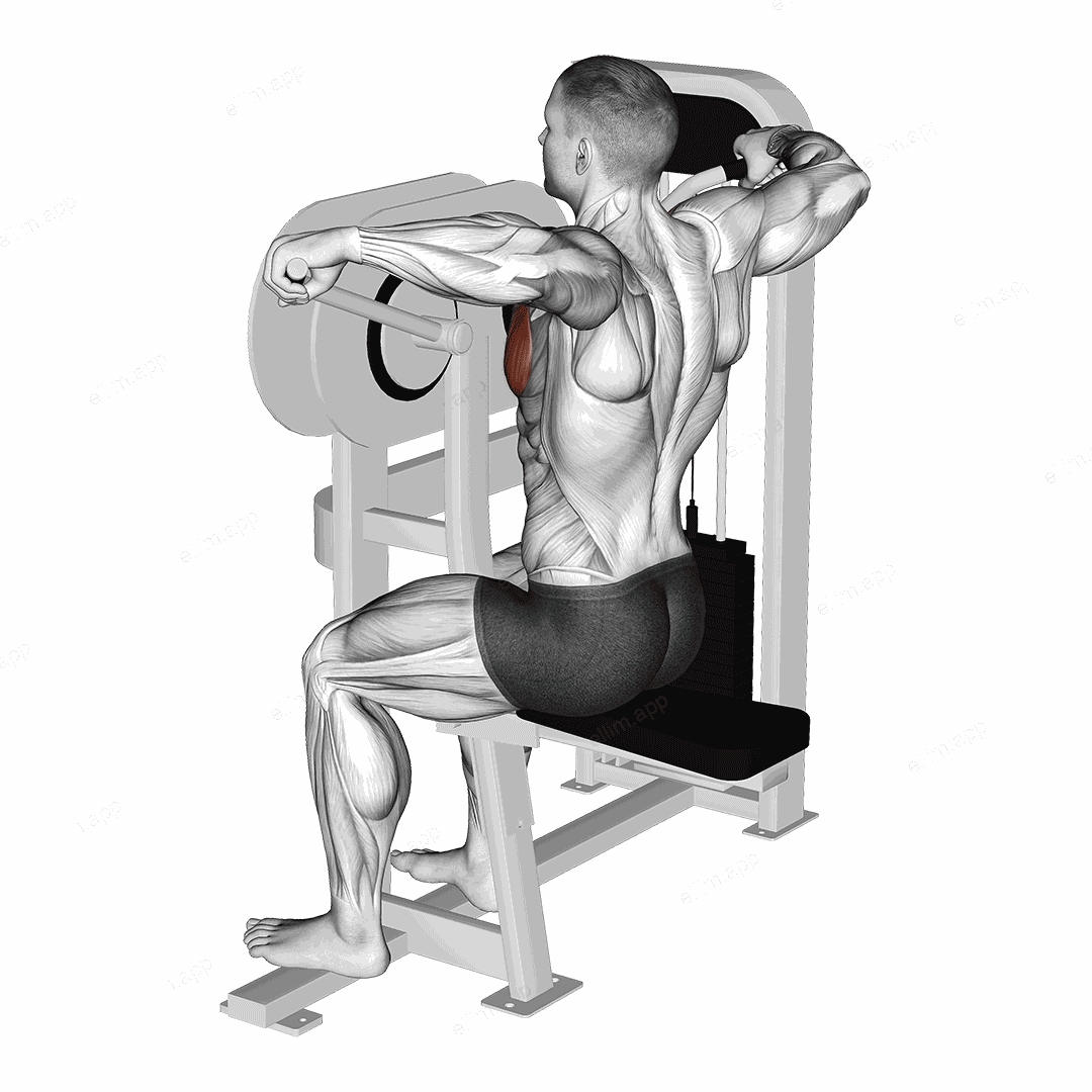 Lever Crossovers exercise targeting Chest and Pectoralis Major Sternal Head