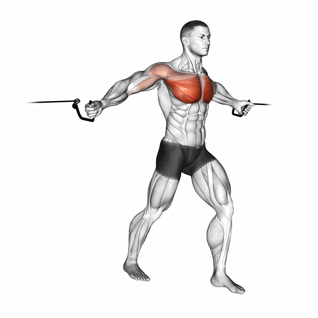 Cable Middle Fly exercise targeting Chest and Pectoralis Major Sternal Head