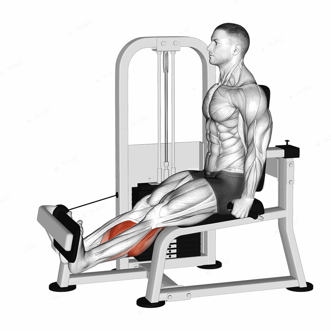 Lever Rotary Calf exercise targeting Calves and Gastrocnemius