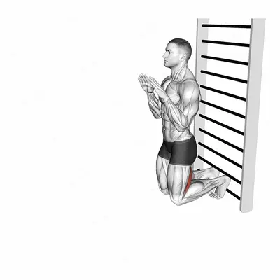 Nordic Hamstring Curl exercise targeting Thighs