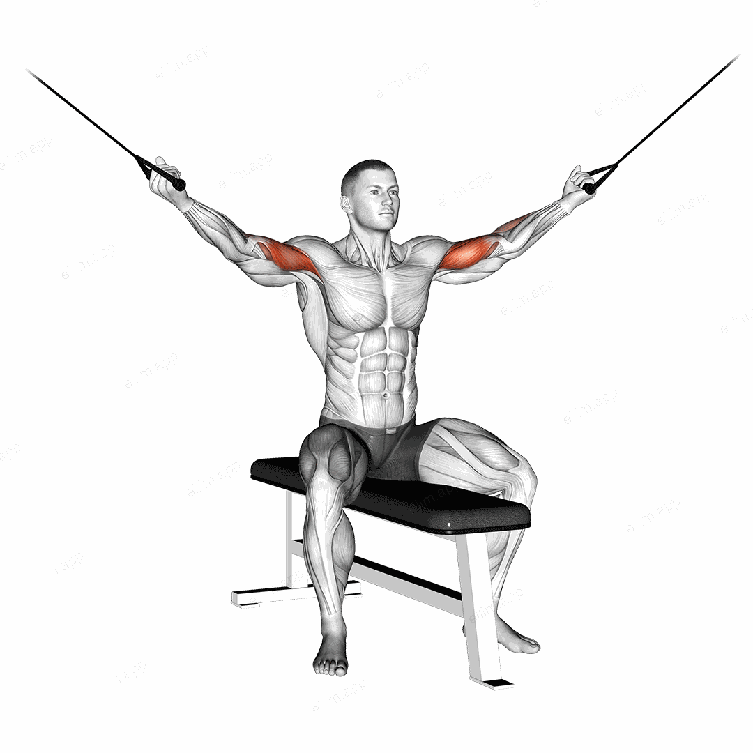 Cable Seated Overhead Curl exercise targeting Upper Arms