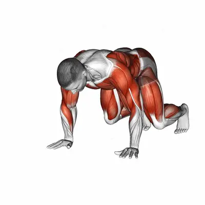 Side Bear Crawl exercise targeting Plyometrics