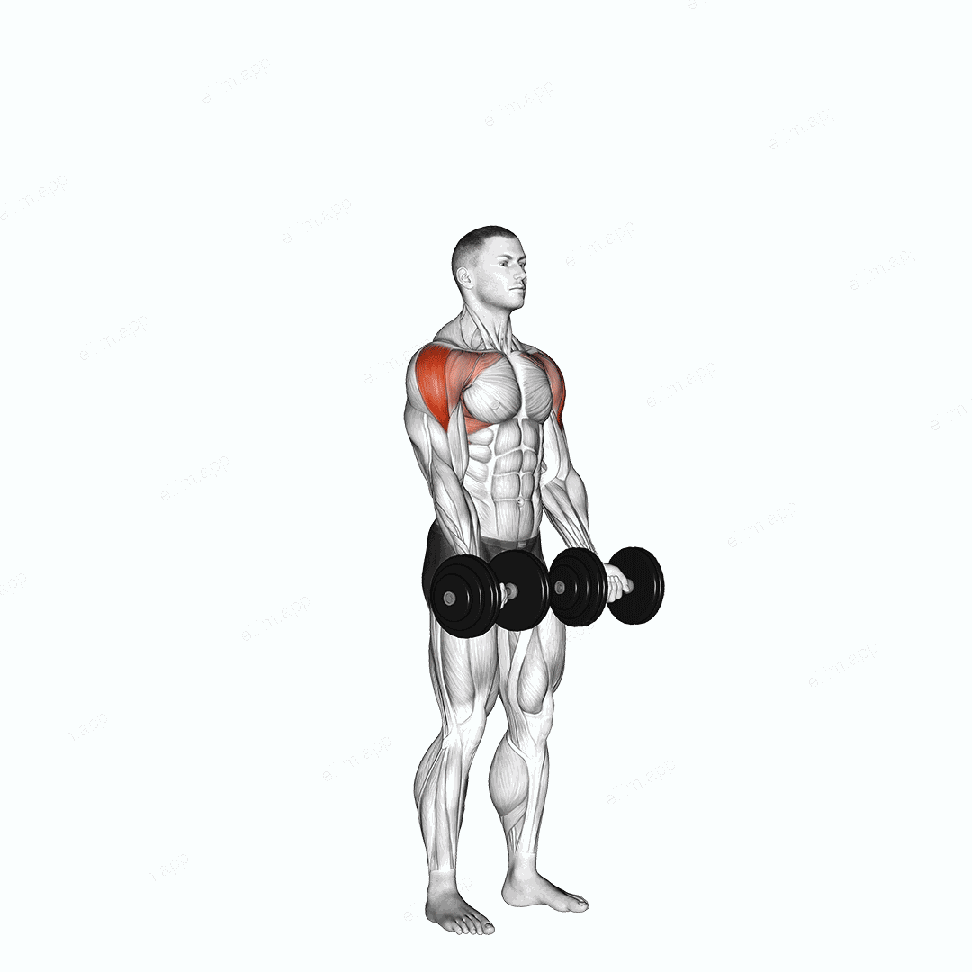 Dumbbell Standing Around World exercise targeting Shoulders and Deltoid Lateral
