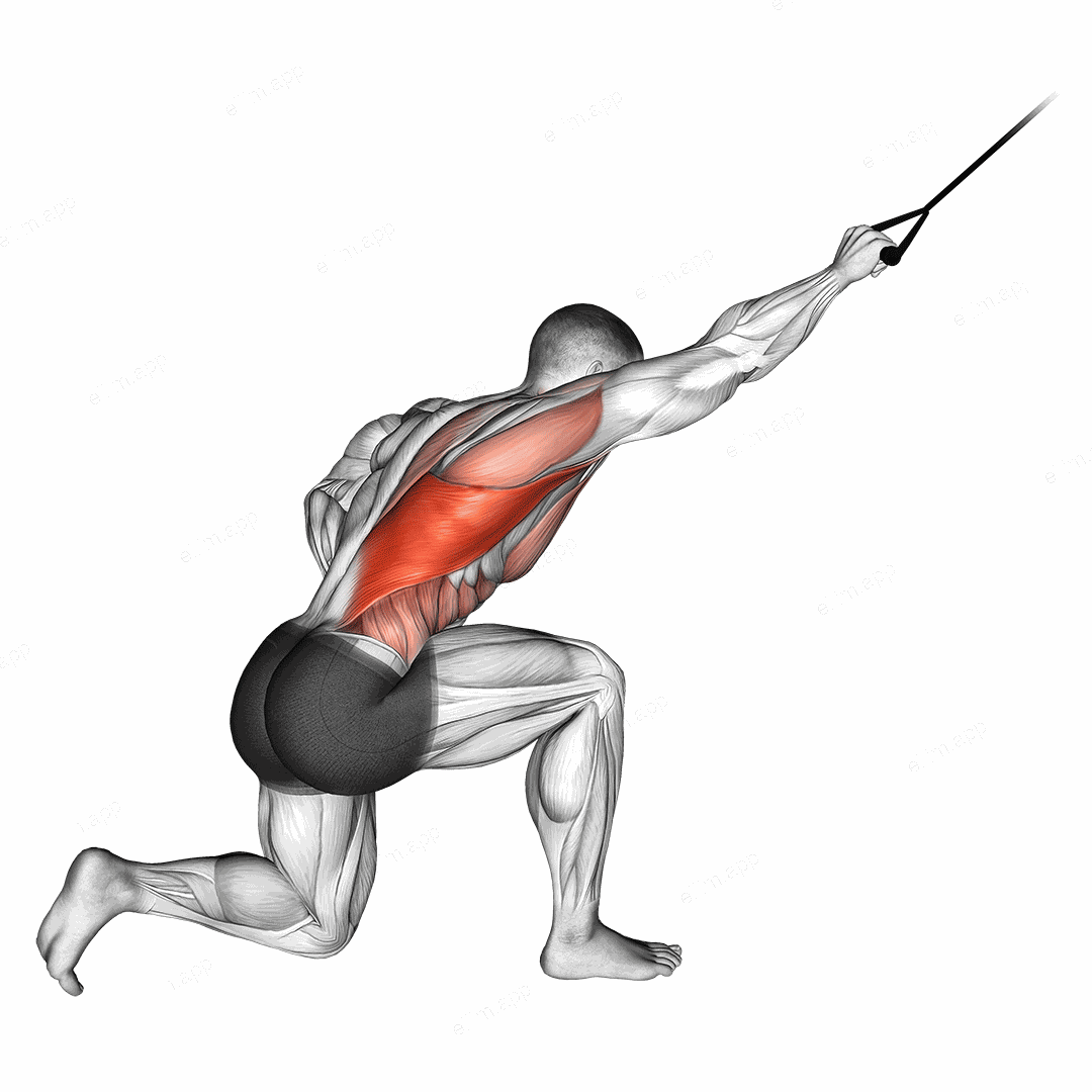 Band kneeling one arm pulldown exercise targeting Back and Latissimus Dorsi