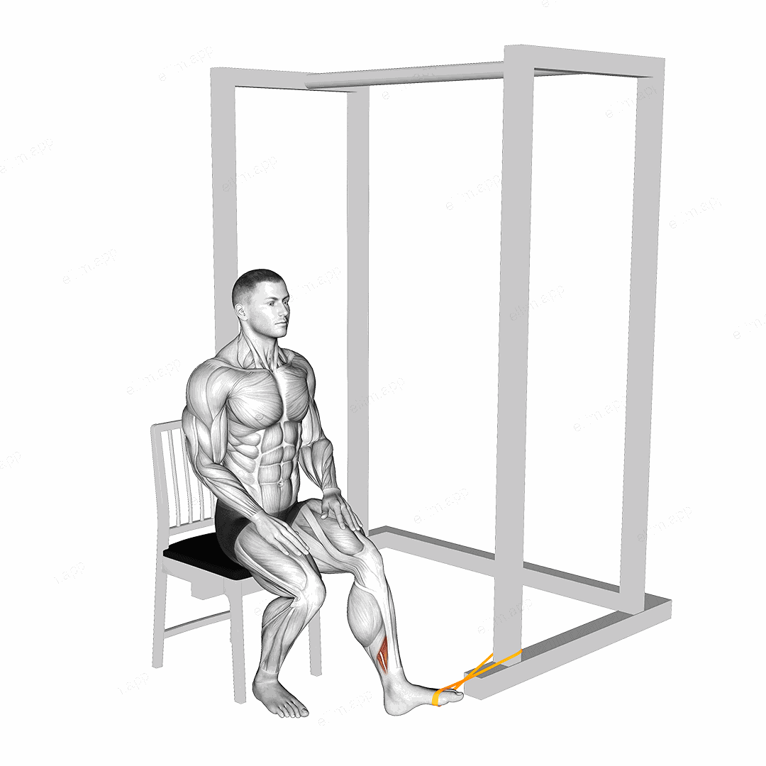 Resistance Band Seated Inversion Foot exercise targeting Calves