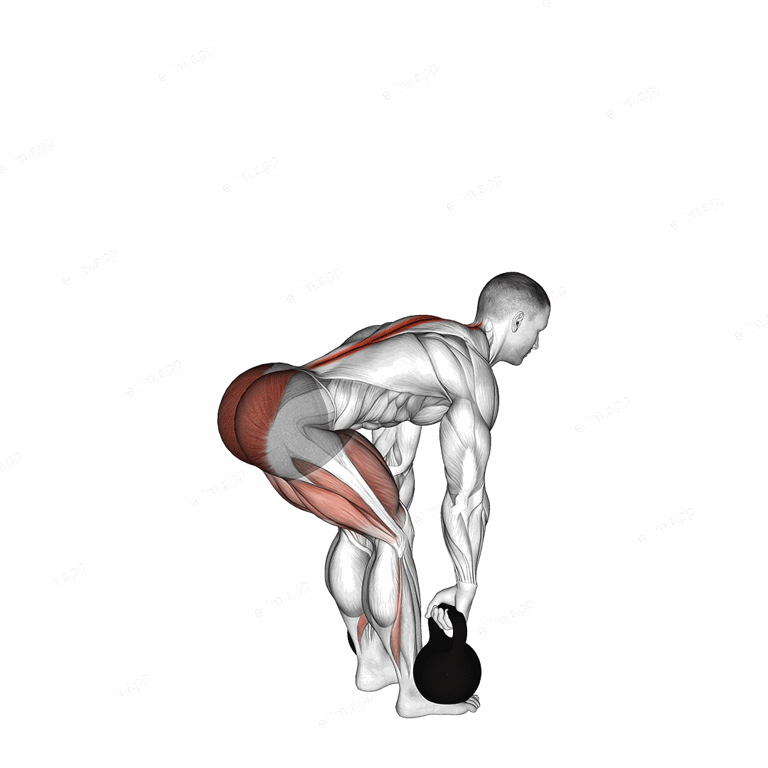 Kettlebell Romanian Deadlift exercise targeting Hips