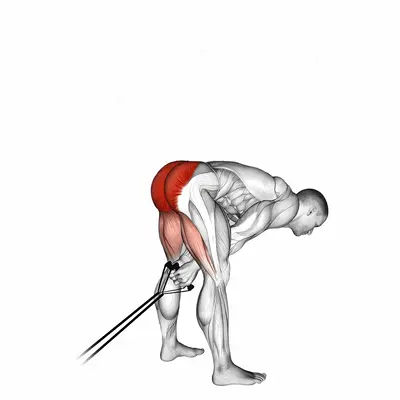 Band pull through exercise targeting Hips and Gluteus Maximus