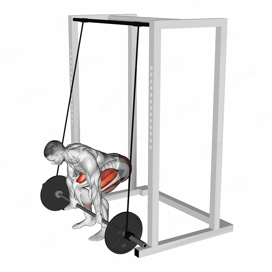 Barbell Band Assisted Deadlift exercise targeting Hips