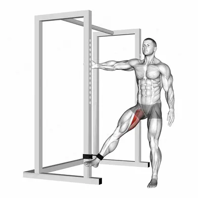 Band hip adduction exercise targeting Hips