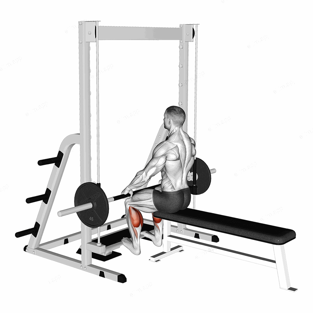 Smith Seated Calf Raise exercise targeting Calves