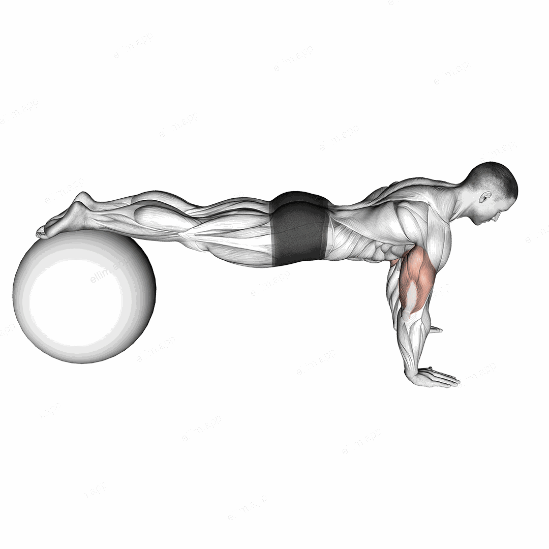 Decline Push up (on stability ball) exercise targeting Chest