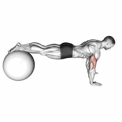 Decline Push up (on stability ball) exercise targeting Chest