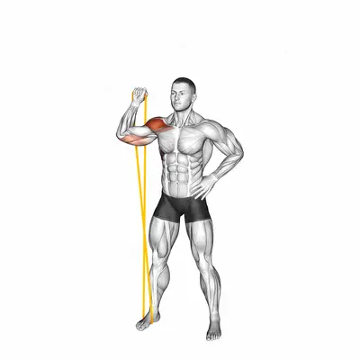Resistance Band Single Arm Overhead Shoulder Press exercise targeting Shoulders and Deltoid Anterior