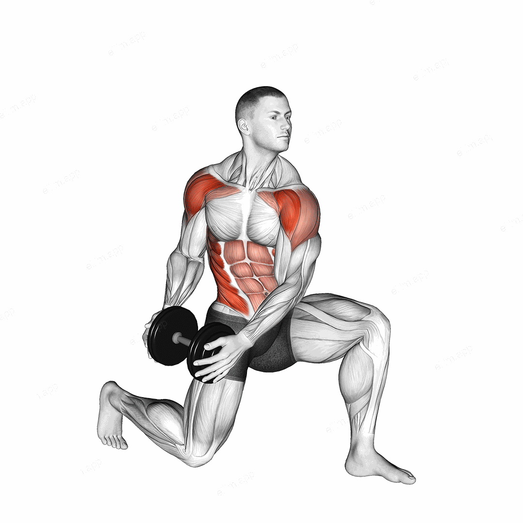 Dumbbell Half Kneeling Lift and Chop exercise targeting Waist